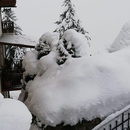 Appartement Schoeffmann Bad Kleinkirchheim Exterior foto